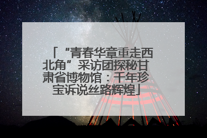 “青春华章重走西北角”采访团探秘甘肃省博物馆：千年珍宝诉说丝路辉煌