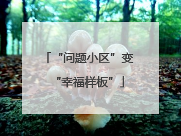“问题小区”变“幸福样板”