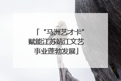 “马洲艺才卡”赋能江苏靖江文艺事业蓬勃发展