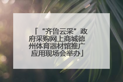 “齐鲁云采”政府采购网上商城德州体育器材馆推广应用现场会举办