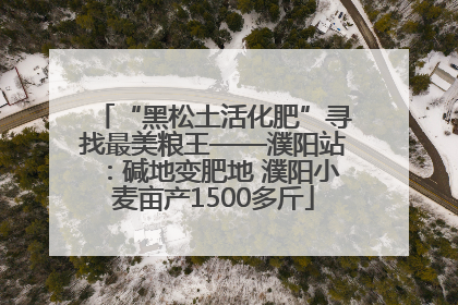“黑松土活化肥”寻找最美粮王——濮阳站：碱地变肥地 濮阳小麦亩产1500多斤