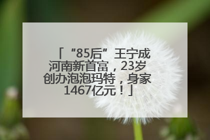 “85后”王宁成河南新首富，23岁创办泡泡玛特，身家1467亿元！