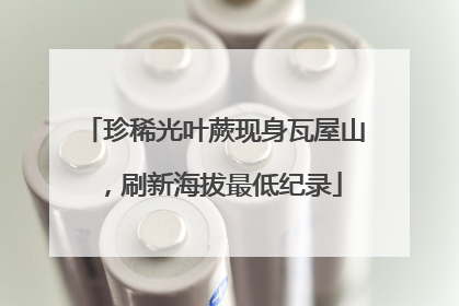 珍稀光叶蕨现身瓦屋山，刷新海拔最低纪录