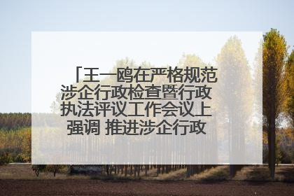 王一鸥在严格规范涉企行政检查暨行政执法评议工作会议上强调 推进涉企行政检查质效大幅提升