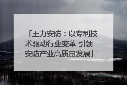 王力安防：以专利技术驱动行业变革 引领安防产业高质量发展