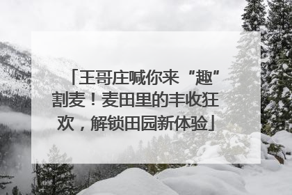 王哥庄喊你来“趣”割麦！麦田里的丰收狂欢，解锁田园新体验