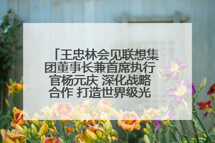 王忠林会见联想集团董事长兼首席执行官杨元庆 深化战略合作 打造世界级光电子信息产业集群