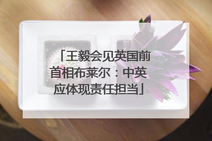王毅会见英国前首相布莱尔：中英应体现责任担当