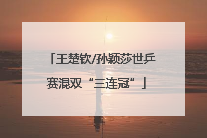 王楚钦/孙颖莎世乒赛混双“三连冠”
