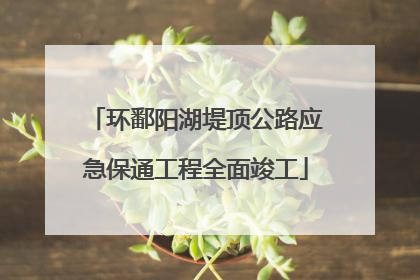 环鄱阳湖堤顶公路应急保通工程全面竣工