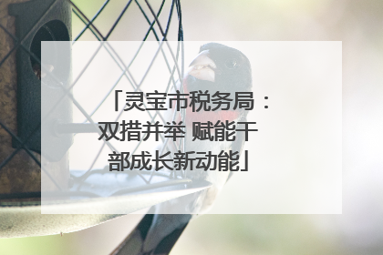 灵宝市税务局：双措并举 赋能干部成长新动能
