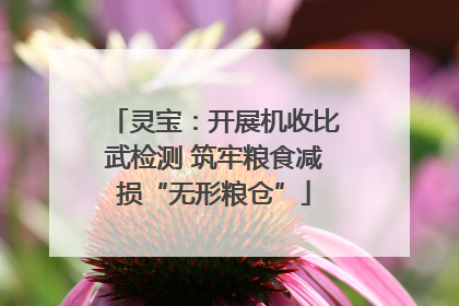 灵宝：开展机收比武检测 筑牢粮食减损“无形粮仓”