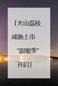 火山荔枝成熟上市 “甜蜜季”开启