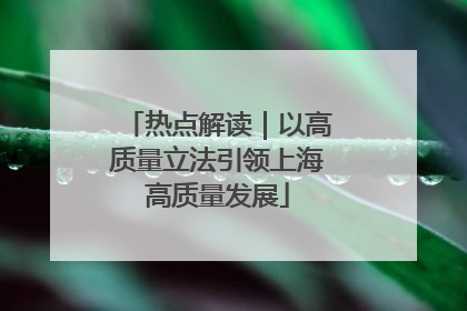 热点解读｜以高质量立法引领上海高质量发展