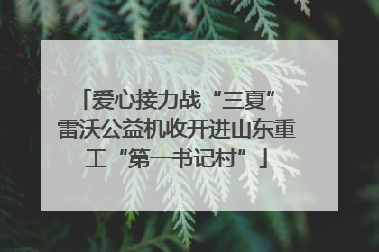 爱心接力战“三夏” 雷沃公益机收开进山东重工“第一书记村”