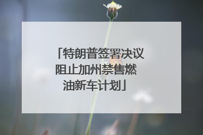 特朗普签署决议 阻止加州禁售燃油新车计划