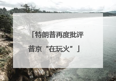 特朗普再度批评普京“在玩火”