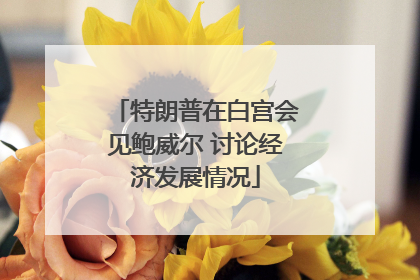 特朗普在白宫会见鲍威尔 讨论经济发展情况