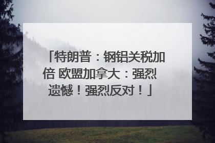 特朗普：钢铝关税加倍 欧盟加拿大：强烈遗憾！强烈反对！