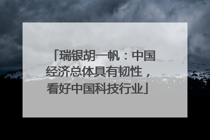 瑞银胡一帆：中国经济总体具有韧性，看好中国科技行业