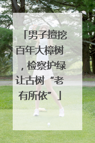 男子擅挖百年大樟树，检察护绿让古树“老有所依”