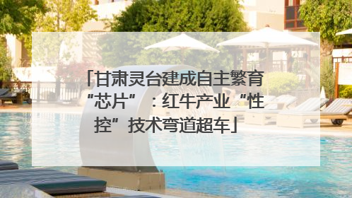 甘肃灵台建成自主繁育“芯片”：红牛产业“性控”技术弯道超车
