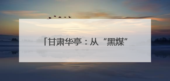 甘肃华亭：从“黑煤”到“绿链”的转型突围