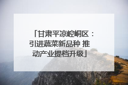 甘肃平凉崆峒区：引进蔬菜新品种 推动产业提档升级