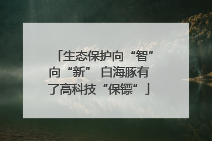 生态保护向“智”向“新” 白海豚有了高科技“保镖”