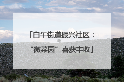 白午街道振兴社区：“微菜园”喜获丰收