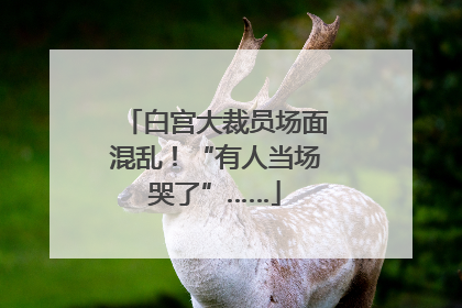 白宫大裁员场面混乱！“有人当场哭了”……