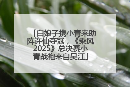 白娘子携小青来助阵许仙夺冠，《乘风2025》总决赛小青战袍来自吴江