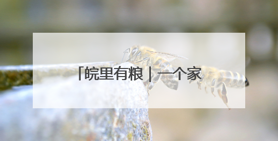 皖里有粮｜一个家庭农场的土地哲学