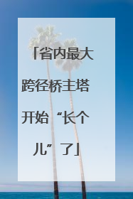省内最大跨径桥主塔开始“长个儿”了