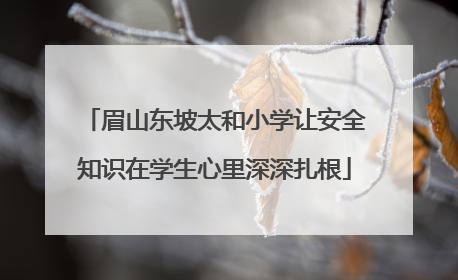 眉山东坡太和小学让安全知识在学生心里深深扎根