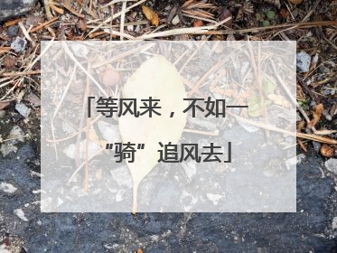 等风来，不如一“骑”追风去