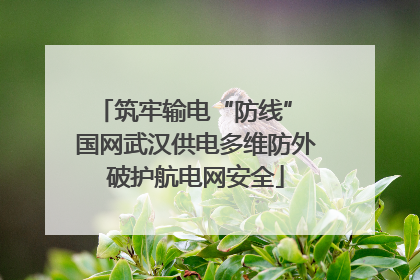 筑牢输电“防线” 国网武汉供电多维防外破护航电网安全