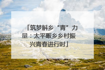 筑梦斛乡“青”力量：太平畈乡乡村振兴青春进行时