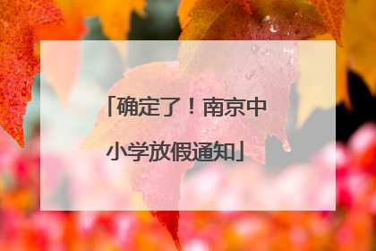 确定了！南京中小学放假通知