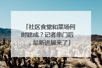社区食堂和菜场何时建成？记者串门后，最新进展来了