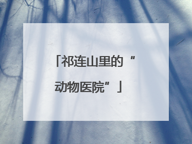 祁连山里的“动物医院”