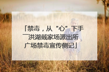 禁毒，从“心”下手――洪湖戴家场派出所广场禁毒宣传侧记