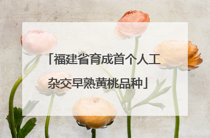 福建省育成首个人工杂交早熟黄桃品种