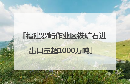 福建罗屿作业区铁矿石进出口量超1000万吨