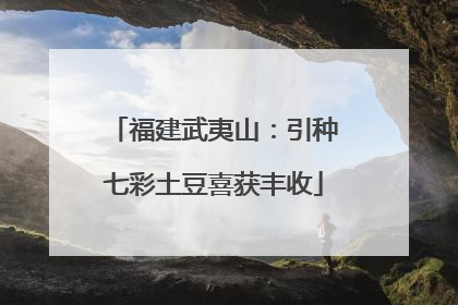 福建武夷山：引种七彩土豆喜获丰收
