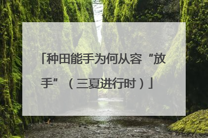 种田能手为何从容“放手”（三夏进行时）