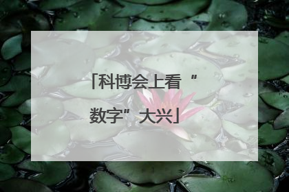 科博会上看“数字”大兴