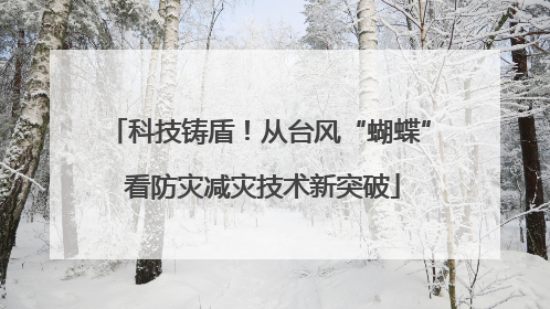 科技铸盾！从台风“蝴蝶” 看防灾减灾技术新突破