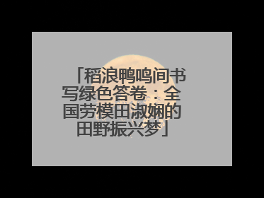 稻浪鸭鸣间书写绿色答卷：全国劳模田淑娴的田野振兴梦