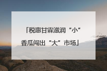 税惠甘霖滋润“小”香瓜闯出“大”市场